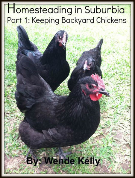 Homesteading in Suburbia: Part 1- Keeping Backyard Chickens