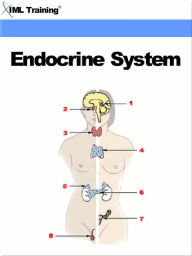 Title: Endocrine System (Human Body), Author: IML Training