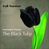 The Black Tulip