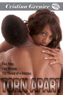 Torn Apart (African American Romance)