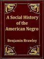 A Social History of the American Negro