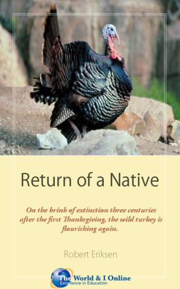 Return of a Native