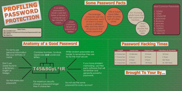 Web Security Manual A+++