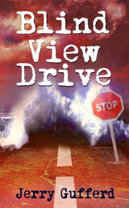 Title: Blind View Drive, Author: Jerry Gufferd