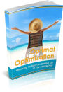 Optimal Optimization: Resolving To Have An Optimal Life In The Coming Year!