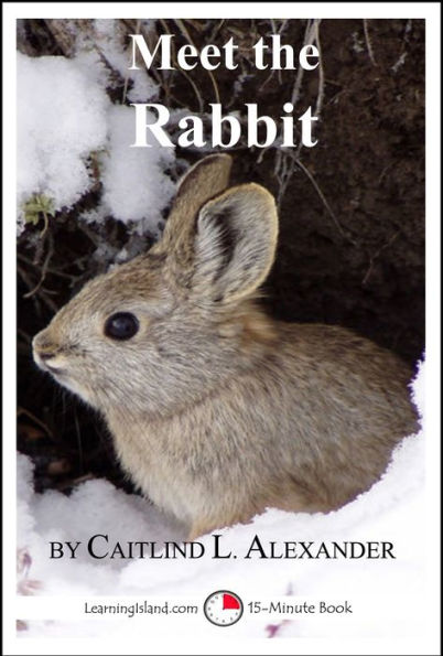 Meet the Rabbit: A 15-Minute Book for Early Readers