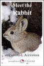 Meet the Rabbit: A 15-Minute Book for Early Readers
