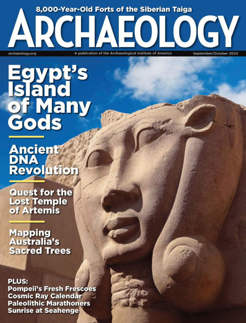 Archaeology Magazine | NOOK Magazine | Barnes & Noble®