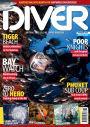 Diver