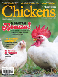 Title: Chickens, Author: EG Media