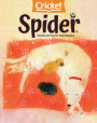 Spider - annual subscription