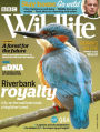 BBC Wildlife