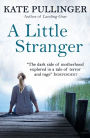 A Little Stranger