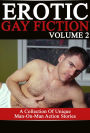 Erotic Gay Fiction: Volume 2