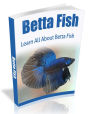 Betta Fish