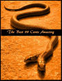 Best Sex 99 Cents Amazing Snakes ( Reptile, slither, pet, constrictor, venom, Cobra, Boa, Garden, moccasin, rattle snake, anaconda, viper, sea snake, water snake, corn snake, pets, pet, science, nature, wildlife, photography, anti venom )