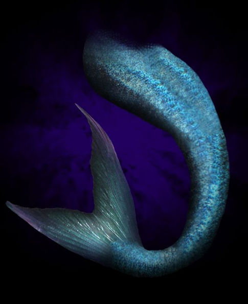 The Reluctant Little Mermaid