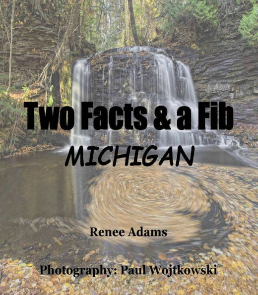 Two Facts and a Fib: Michigan