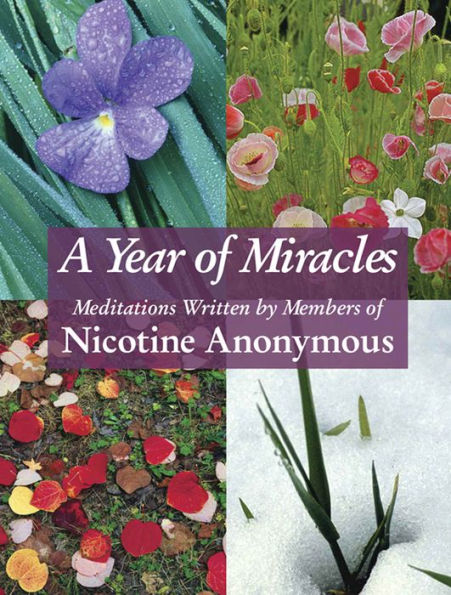 A Year of Miracles