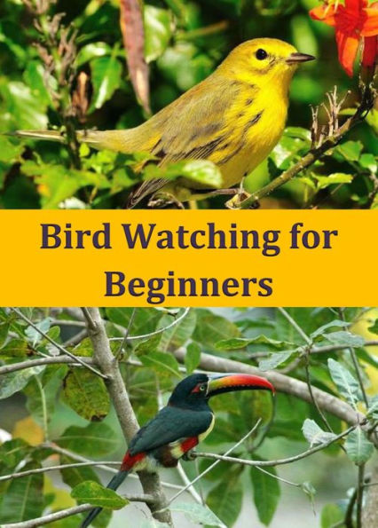 Bird Watching for Beginners: Make You an Expert Birdwatcher