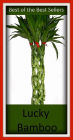 99 Cent Best Seller Lucky Bamboo ( Theology, Ethics, Thought, Theory, Self Help, Mystery, romance, action, adventure, sci fi, science fiction, drama, horror, thriller, classic, novel, literature, suspense )