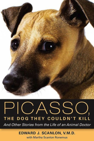 Picasso, The Dog They Couldn't Kill: And Other Stories from the Life of an Animal Doctor