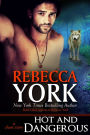Hot and Dangerous (Decorah Security Series, Book #6)