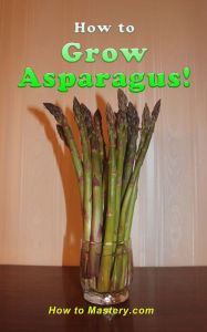 Title: How to Grow Asparagus, Author: Kimberly Peters