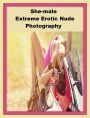Erotic Romance: So Many Choices Best of