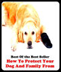 Best of the best sellers How To Protect Your Dog And Family From ( families, household, familial, domestic, relatives, households, dynasty, home, familiar, household-type, family-run, family-related, family-owned, kin, family-based )