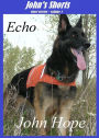 Echo