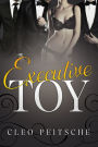 Executive Toy (Multiple Partner MMMf BDSM)