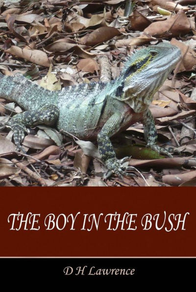 The Boy in the Bush