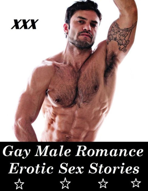 Free Gay Erotic Sex Stories 13