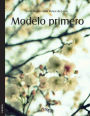 Modelo primero