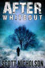 After: Whiteout (AFTER post-apocalyptic series, Book 4)
