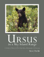 Ursus In A Sky Island Range
