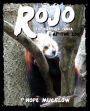 Rojo the Baby Red Panda at the Zoo