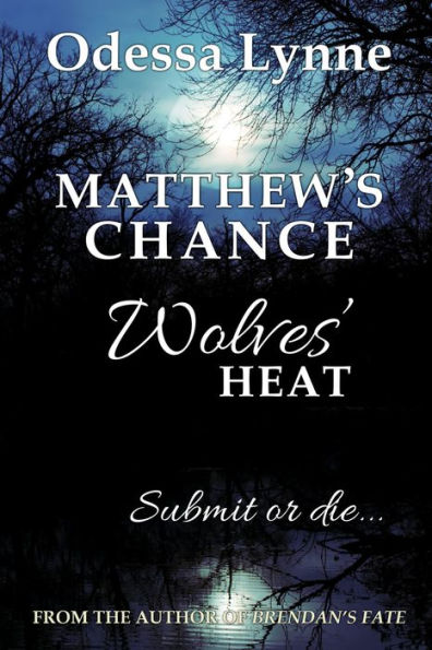 Matthew's Chance