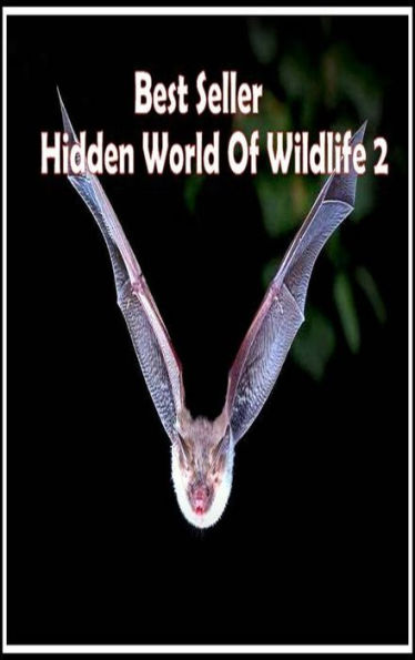 Nature: Hidden World of Wildlife 2 ( spiders , tarantula , sea, creature, sea world, underwater world, horse, wild, forest, beast, animals, elephant, photo, fish, wildlife, ocean, shark, octopus )