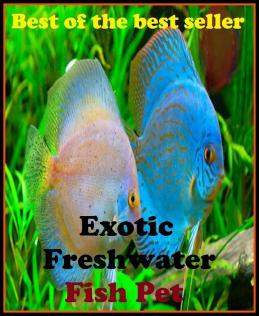 Best of the best sellers Exotic Freshwater Fish Pet ( cherished, darling,  rdear, deare, arendearing, favored, loved, preferred, special, affectionate
