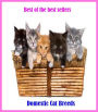 Best of the Best Sellers Domestic Cat Breeds (domestic animal, domestic ass, domestic blindness, domestic carp, domestic cat, domestic debt, domestic dispute, domestic dog, domestic duck, domestic emergencies)