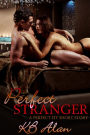 Perfect Stranger (Perfect Fit 2.5)