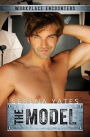 The Model