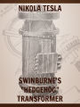 Swinburne's Hedgehog Transformer