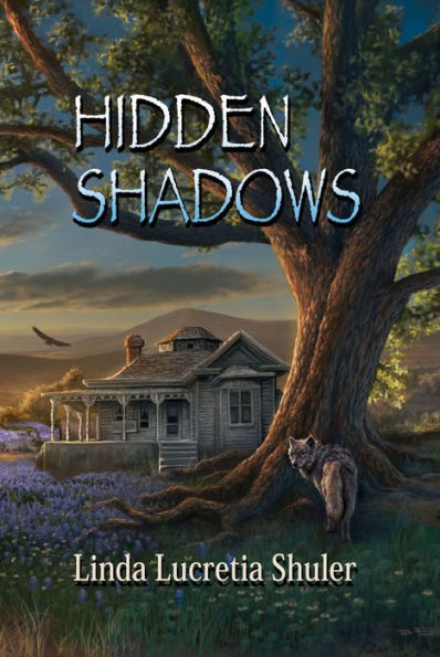 Hidden Shadows