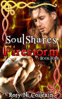 Firestorm - Book Four of the SoulShares Series