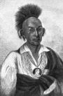 Indian Creek Massacre & Captivity of Hall Girls