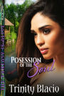 Possession of the Soul - Book One of the Fantasy is Alive Series