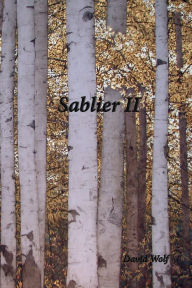 Title: Sablier II, Author: David Wolf